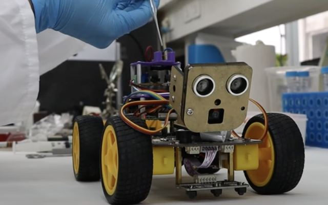 Le nouveau robot de l'Université de Tel Aviv, doté de capacités olfactives qui utilisent l'antenne d'une sauterelle (Crédit : Capture d'écran YouTube/Université de Tel Aviv) Le nouveau robot de l'Université de Tel Aviv, doté de capacités olfactives qui utilisent l'antenne d'une sauterelle (Crédit : Capture d'écran YouTube/Université de Tel Aviv)
