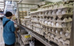 Des œufs empilés sur les étagères du supermarché Osher Ad à Givat Shaul, à Jérusalem, le 27 octobre 2021. (Crédit : Yonatan Sindel/Flash90)