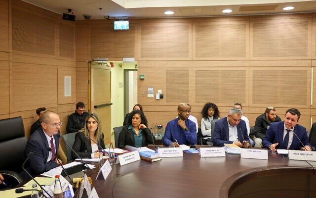 La Commission pour l'Immigration, l'Intégration et les Affaires de la Diaspora lors de sa première audience à la Knesset, le 9 janvier 2023. (Crédit : Noam Moskowitz/Knesset)