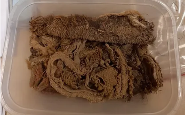 Des textiles découverts au Nahal Omer avant leur nettoyage.(Crédit :  Israel Silk Road Project/University of Haifa)