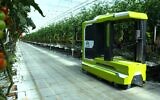 Le robot de la serre de la startup israélienne MetoMotion cueille et emballe des tomates. (Crédit : Autorisation)