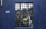 Photo d'Illustration : Des prisonniers palestiniens se tiennent dans une cellule, en attendant leur libération de la prison de Ketziot, dans le sud d'Israël, le 1er octobre 2007. (AP Photo/Ariel Schalit/File)
