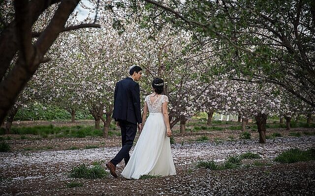 Illustration : Un couple israélien photographié à l'occasion de son mariage dans un champ d’amandiers en fleurs, à Latrun, le 25 février 2019. (Crédit : Hadas Parush/Flash90)