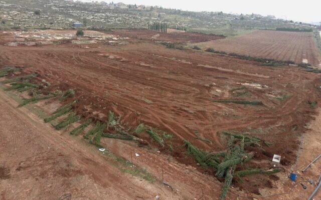Une parcelle de terrain débarrassée de ses arbres, plantés sans autorisation par un résident d'implantations à partir du début des années 2000 dans le cadre d'un conflit avec les Palestiniens qui revendiquent la propriété du terrain, sous les ordres de l'Administration civile du ministère de la Défense, près de l'implantation de Shiloh, en Cisjordanie, le 16 février 2023. (Autorisation) Une parcelle de terrain débarrassée de ses arbres, plantés sans autorisation par un résident d'implantations à partir du début des années 2000 dans le cadre d'un conflit avec les Palestiniens qui revendiquent la propriété du terrain, sous les ordres de l'Administration civile du ministère de la Défense, près de l'implantation de Shiloh, en Cisjordanie, le 16 février 2023. (Autorisation)
