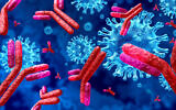 Illustration : Anticorps attaquant des cellules virales contagieuses (Crédit : wildpixel ; iStock by Getty Images)