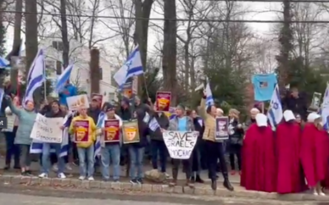 Des manifestants israéliens rassemblés au New Jersey contre la refonte judiciaire, le 25 mars 2023. (Crédit : Luke Tress/Times of Israël)