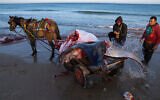 Pêcheurs palestiniens avec des raies manta sur la plage de Gaza City, le 12 mars 2023. (Crédit : AP Photo/Fatima Shbair)