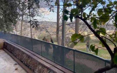 Des résidents d'implantations lancent des pierres et des bouteilles sur la maison d'Issa Amro dans la ville d'Hébron en Cisjordanie, le 8 mars 2023. (Capture d'écran : Twitter)