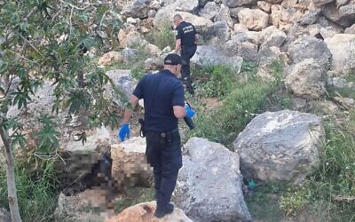 La police sur le site où le corps d'un homme d'une cinquantaine d'années a été retrouvé entre les communautés de Lapid et Hashmonaïm, près de la ville centrale de Modiin, le 29 avril 2023. (Crédit : Police israélienne)