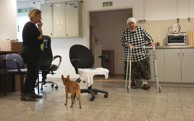 Des femmes israéliennes et un chien s'abritant dans un abri public contre les roquettes tirées depuis la Bande de Gaza ,à Ashkelon, le 10 mai 2023. (Crédit : AP Photo/Tsafrir Abayov)
