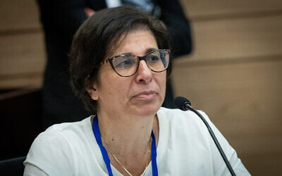 Michal Cohen, directrice-générale de l'Autorité israélienne de la Concurrence, s'exprimant lors d'une réunion de la commission des Affaires économiques de la Knesset, à Jérusalem, le 16 janvier 2023. (Crédit : Yonatan Sindel/Flash90)