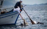 Des plongeurs et des volontaires de l'ONG Enaleia ramassent des filets fantômes sous l'eau lors d'une opération de nettoyage près de la côte de l'île de Salamina, le 26 mai 2023. (Crédit : Angelos Tzortzinis / AFP)
