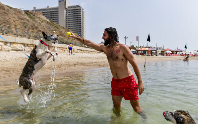 Des Israéliens profitant de la plage lors d'une chaude journée d'été, à Tel Aviv, le 2 juin 2023. (Crédit : Avshalom Sassoni/Flash90) Des Israéliens profitant de la plage lors d'une chaude journée d'été, à Tel Aviv, le 2 juin 2023. (Crédit : Avshalom Sassoni/Flash90)