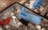 Un serpent trouvé dans les bagages d'une femme qui a tenté d'introduire clandestinement des dizaines de reptiles en Israël, en mai 2023. (Crédit : Capture d'écran Twitter ; utilisée conformément à l'article 27a de la loi sur le droit d'auteur)