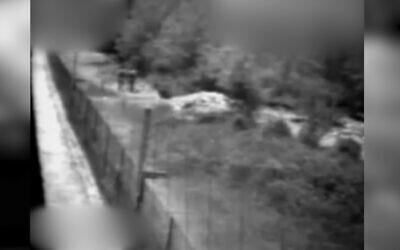 Des membres du Hezbollah s'approchant de la frontière entre Israël et le Liban, avant que l'armée israélienne ne déclenche une explosion pour les faire fuir, le 12 juillet 2023. (Crédit : Armée israélienne)