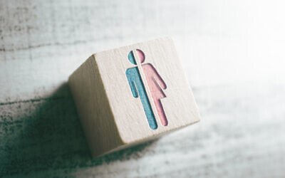 Illustration : Des icônes masculines et féminines découpées dans un bloc de bois. (Crédit : Devenorr ; iStock by Getty Images)