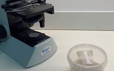 La startup israélienne MadeRight développe des emballages plastiques alternatifs à base de champignons et dérivés de matières fossiles. (Crédit : Autorisation)