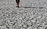 Un homme marchant sur la boue craquelée qui recouvre la surface d'une pisciculture sèche, à la suite d'une campagne de répression menée par le gouvernement irakien contre les étangs non autorisés afin de répondre à la demande d'eau du pays, dans le village d'Albu Mustafa à Hilla, à environ 100 km au sud de Bagdad, le 6 juillet 2023. (Crédit : Ahmad al-Rubaye/AFP)
