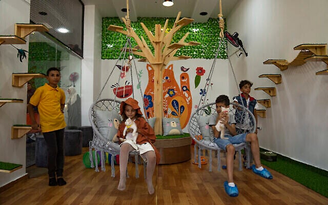 Des enfants palestiniens profitent de la compagnie des chats le jour de l'ouverture du Meow Cafe à Gaza, le 17 août 2023. (Crédit : AP/Fatima Shbair) Des enfants palestiniens profitent de la compagnie des chats le jour de l'ouverture du Meow Cafe à Gaza, le 17 août 2023. (Crédit : AP/Fatima Shbair)