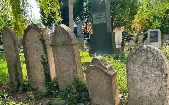 Selon Ladislav Trajer, la communauté de Novi Sad, en Serbie, s'emploie à entretenir le cimetière juif de la ville (Crédit : Larry Luxner/JTA)