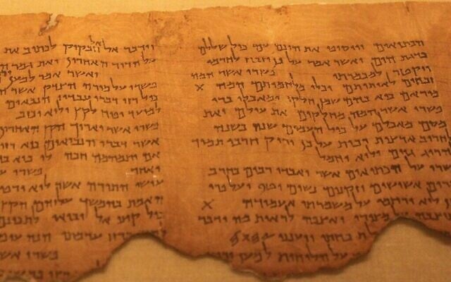 Extrait du rouleau de Pesher Habacuk, exposé au Musée d'Israël, à Jérusalem. (Crédit : Wikipedia Commons)