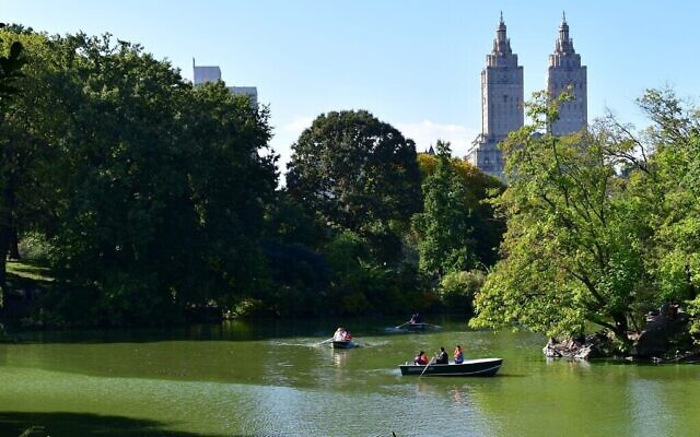 Les bateaux à rames à Central Park sont l'une des nombreuses activités populaires au moment de Chol Hamoed pour les familles juives de New York. (Crédit : Jackie Hajdenberg/ JTA)