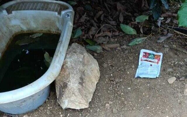 Un récipient d'eau empoisonné dans le nord d'Israël, octobre 2023 (Crédit : Natan binosovich/Autorité israélienne de la nature et des parcs) Un récipient d'eau empoisonné dans le nord d'Israël, octobre 2023 (Crédit : Natan binosovich/Autorité israélienne de la nature et des parcs)