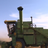 Un agriculteur travaille dans un champ de blé en Syrie. (Capture d'écran/YouTube)
