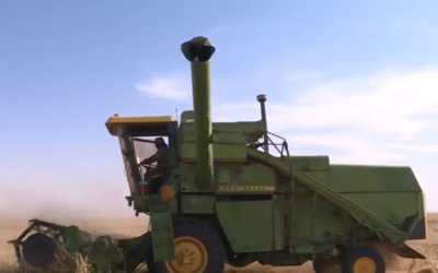 Un agriculteur travaille dans un champ de blé en Syrie. (Capture d'écran/YouTube) Un agriculteur travaille dans un champ de blé en Syrie. (Capture d'écran/YouTube)