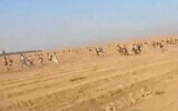 Des festivaliers fuyant la rave party attaquée par le Hamas, à proximité du kibboutz Reïm, le 7 octobre 2023. (Crédit : Shye Weinstein)