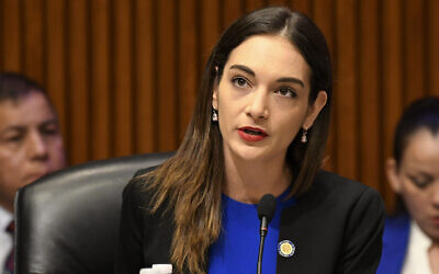 Photo d'archives de la sénatrice de l'État de New York, Julia Salazar, s'adressant aux législateurs de l'État lors d'une audience publique à Albany, dans l'État de New York, le 13 février 2019. (Crédit : Hans Pennink/AP)