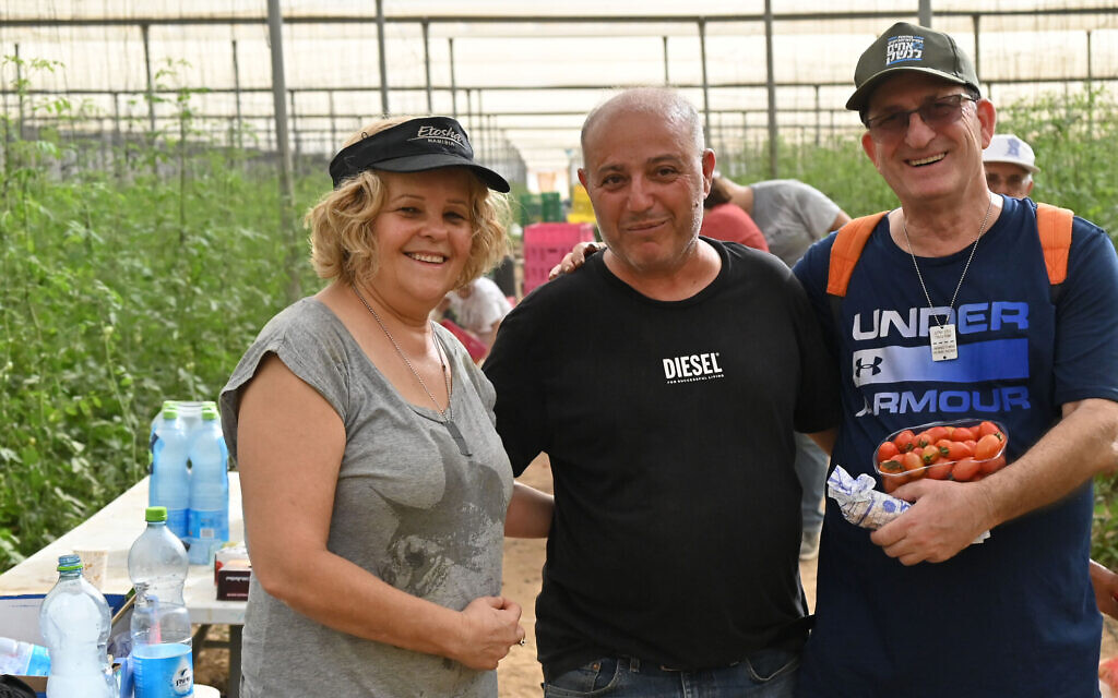 Noga Spielberg, Avner Davidian et Ofer Spielberg faisant une pause dans la cueillette des tomates à Shibolim, en Israël, le 9 novembre 2023. (Crédit : Canaan Lidor/Times of Israel)