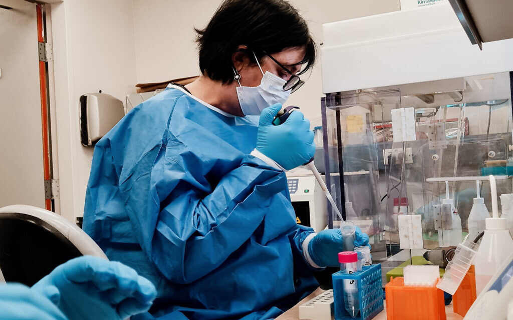 La professeure Gila Kahila Bar-Gal participe à l'extraction et à l'amplification de l'ADN au Centre national de médecine légale (Abou Kabir), novembre 2023. (Crédit : autorisation)