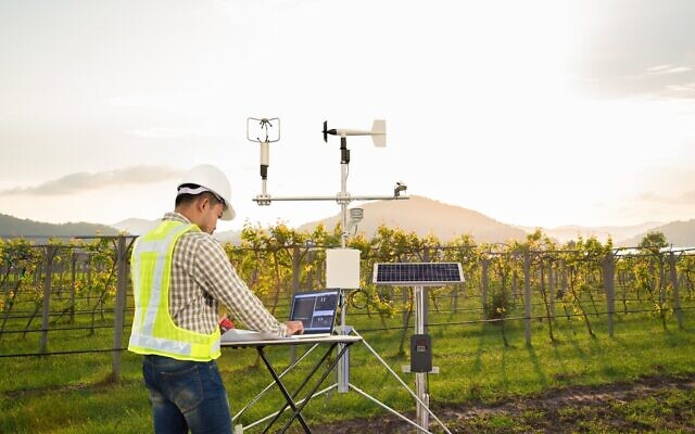 Photo d'illustration : Un agronome mesure la vitesse du vent, la température, l'humidité et le système de cellules solaires grâce à un outil technologique dans des vignes. (Crédit : Kinwun, iStock by Getty Images) Photo d'illustration : Un agronome mesure la vitesse du vent, la température, l'humidité et le système de cellules solaires grâce à un outil technologique dans des vignes. (Crédit : Kinwun, iStock by Getty Images)