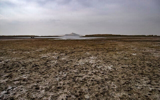 La sécheresse et l'absence d'eau dans l'Euphrate, dans la campagne située à l'Est de Taqba, dans le gouvernorat syrien de Raqqa, le 22 novembre 2022. (Crédit : Delil SOULEIMAN / AFP) La sécheresse et l'absence d'eau dans l'Euphrate, dans la campagne située à l'Est de Taqba, dans le gouvernorat syrien de Raqqa, le 22 novembre 2022. (Crédit : Delil SOULEIMAN / AFP)