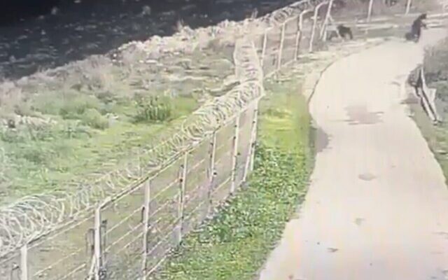 Des terroristes palestiniens ouvrent une brèche dans l'implantation d'Adora, en Cisjordanie, le 12 janvier 2024. (Capture d'écran : via Kan used in accordance with Clause 27a of the Copyright Law) Des terroristes palestiniens ouvrent une brèche dans l'implantation d'Adora, en Cisjordanie, le 12 janvier 2024. (Capture d'écran : via Kan used in accordance with Clause 27a of the Copyright Law)