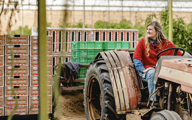 Kari Warberg Block, agricultrice et entrepreneuse américaine, qui s'est portée volontaire pour tailler des pieds de tomates et aider à récolter des terres agricoles dans l'ouest du Neguev, près de la frontière égyptienne, février 2024. (Crédit : Autorisation)