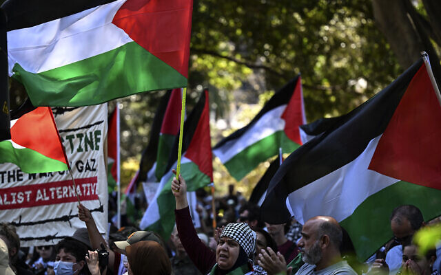 Des personnes portant des pancartes et des drapeaux lors d'un rassemblement anti-Israël, à Hyde Park, à Sydney, le 15 octobre 2023. (Crédit : Saeed Khan/AFP) Des personnes portant des pancartes et des drapeaux lors d'un rassemblement anti-Israël, à Hyde Park, à Sydney, le 15 octobre 2023. (Crédit : Saeed Khan/AFP)