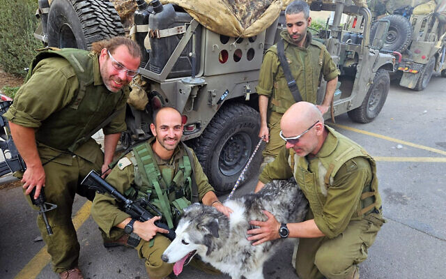 Les réservistes israéliens posent avec un chien sorti de Gaza au mois de décembre 2023. (Autorisation : Glass Walls)