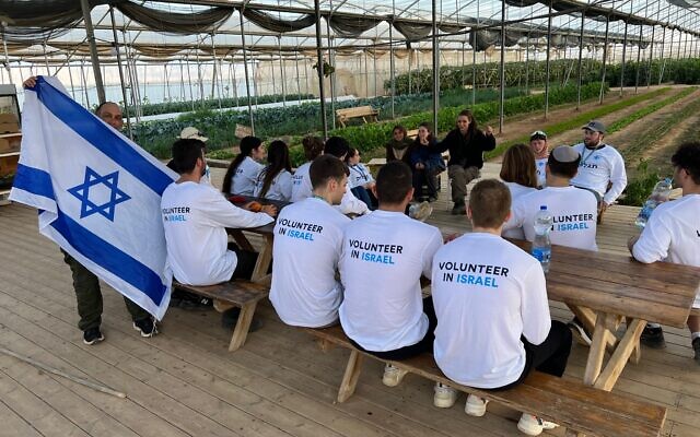 Les anciens de Birthright Israel font du bénévolat à la ferme de Bein Hashitin. (Crédit : Birthright Israel)