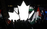 Illustration : Des personnes se tiennent près d'une feuille d'érable illuminée alors que des milliers de personnes se rassemblent à Toronto (Ontario, Canada), pour exprimer leur soutien aux Palestiniens, le 15 mai 2021. (Crédit : Cole Burston/AFP)