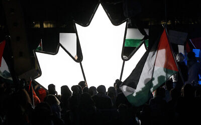 Illustration : Des personnes se tiennent près d'une feuille d'érable illuminée alors que des milliers de personnes se rassemblent à Toronto (Ontario, Canada), pour exprimer leur soutien aux Palestiniens, le 15 mai 2021. (Crédit : Cole Burston/AFP)