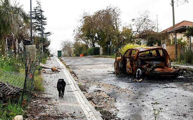 Une photo prise lors d’une visite de presse organisée par le Centre de recherche et d’éducation d’Alma donne à voir un chien marchant devant une voiture détruite dans la ville israélienne déserte de Metula, près de la frontière avec le Liban, le 19 mars 2024. (Crédit : Jalaa Marey/AFP) Une photo prise lors d’une visite de presse organisée par le Centre de recherche et d’éducation d’Alma donne à voir un chien marchant devant une voiture détruite dans la ville israélienne déserte de Metula, près de la frontière avec le Liban, le 19 mars 2024. (Crédit : Jalaa Marey/AFP)