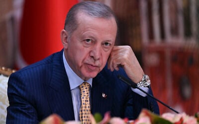 Le président turc Recep Tayyip Erdogan assiste à une conférence de presse conjointe avec le président ukrainien au bureau présidentiel de Dolmabahce, à Istanbul, le 8 mars 2024. (Crédit : Ozan Kose/AFP)