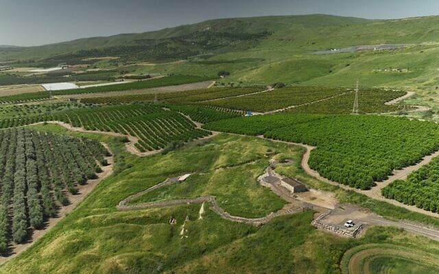 Vue aérienne du site d'Ubeidiya. (Crédit : Emil Aladjem/IAA)