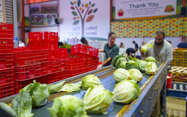 Les produits sont triés au centre logistique de Leket Israël (Crédit : Amir Yakoby/Leket Israël).