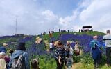 Les visiteurs se pressant pour voir la floraison des lupins bleus à Mitzpe-Tel, une colline de Jérusalem où la police israélienne prévoit de construire un grand complexe, le 27 février 2024. (Crédit : Naomi Kimchin)