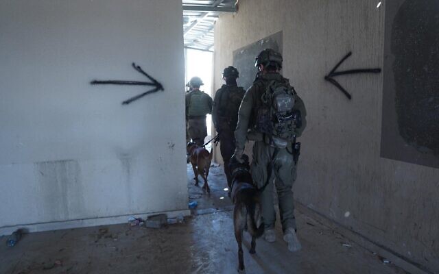 Les troupes de l'armée israélienne en opération dans la région de Rafah, sur une photo autorisée à la publication le 13 mai 2024. (Crédit : Armée israélienne) Les troupes de l'armée israélienne en opération dans la région de Rafah, sur une photo autorisée à la publication le 13 mai 2024. (Crédit : Armée israélienne)