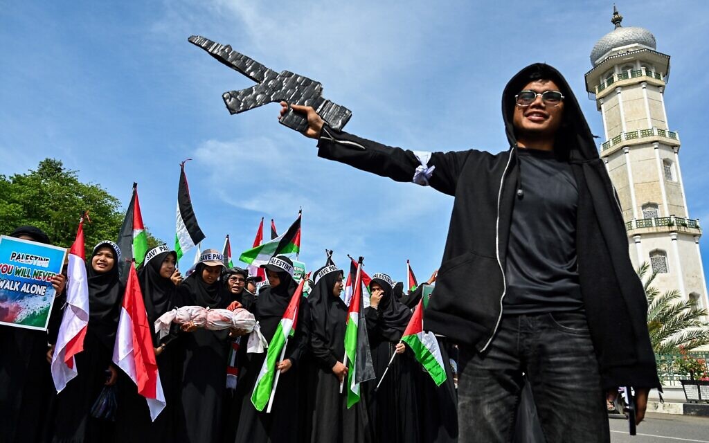 Des militants pro-palestiniens manifestant contre Israël, à Banda Aceh, en Indonésie, le 18 mai 2024. (Crédit : Chaideer Mahyuddin/AFP)