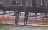 Des images montrant des hommes armés tirant des coups de feu à l'école juive de filles Bais Chaya Mushka, à Toronto, au Canada, 25 mai 2024. (Crédit : X ; utilisée conformément à l'article 27a de la loi sur le droit d'auteur)